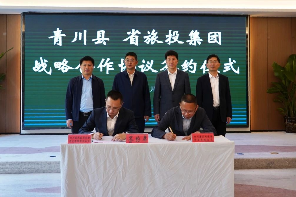 չ1+Nģʽ ʽЧʡطന˳ǩսЭ