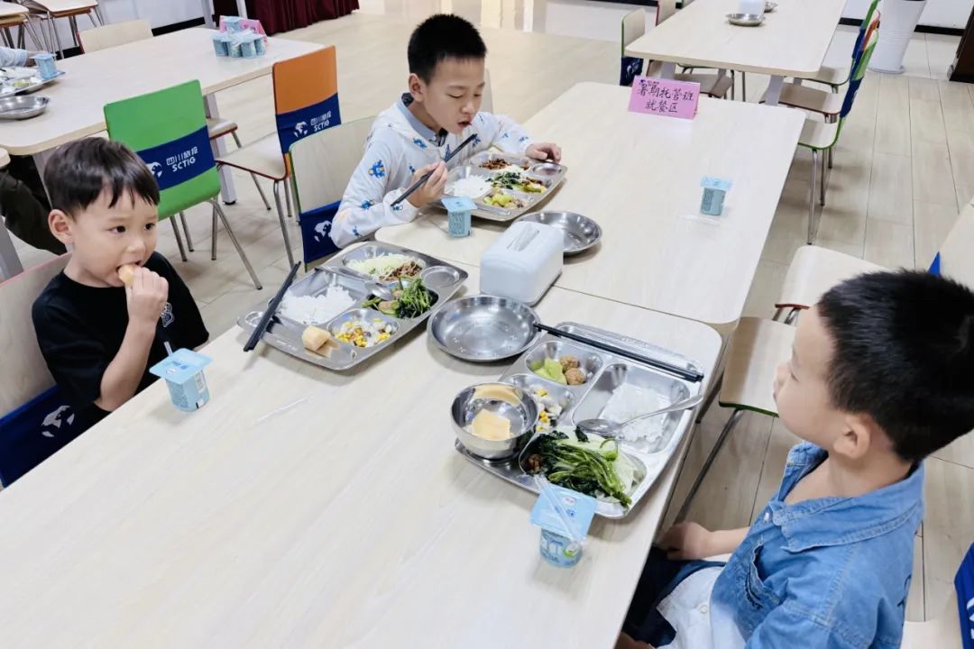 5b12d10a-b60d-46db-b87d-aabe5590134c